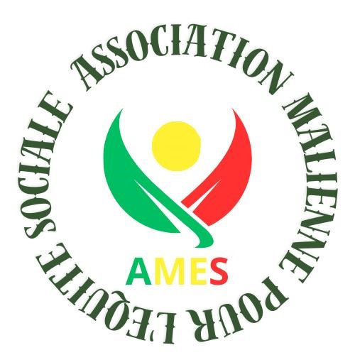 AMES Logo